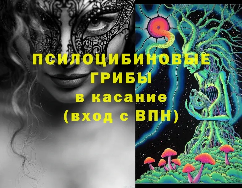 Псилоцибиновые грибы Magic Shrooms  OMG tor  Ворсма 